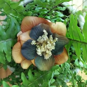 Flower Hair Clip Orange and Grey/Blue